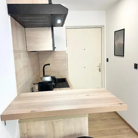 Daire 100m Gare Part-dieu/terrasse/parking Prive Lyon
